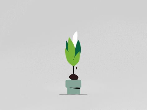 Plant by Joe Le Huquet | Dribbble | Dribbble Plant Animation Gif, Plant Motion Graphic, Animated Plants, Plant Animation, Flower Animation, Plant App, Plant Logos, Frame By Frame Animation, Motion Graphics Inspiration