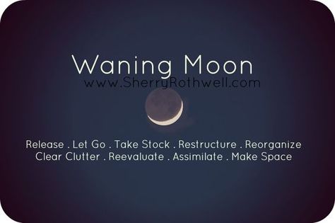 Hilarious Animal Memes, The Cutest Animals, Waning Moon, Moon Spells, Moon Quotes, Moon Journal, New Moon Rituals, Candle Magick