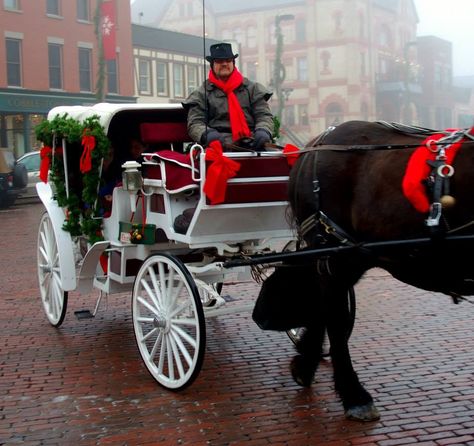 Carriage rides on the Woodstock Square Historic District. Photo: Steve McCoy City Of Philadelphia, Horse Wagon, Tavern On The Green, Carriage Ride, Horse Drawn Carriage, Wedding Carriage, Snoopy Funny, Landscaping Images, Horse Carriage