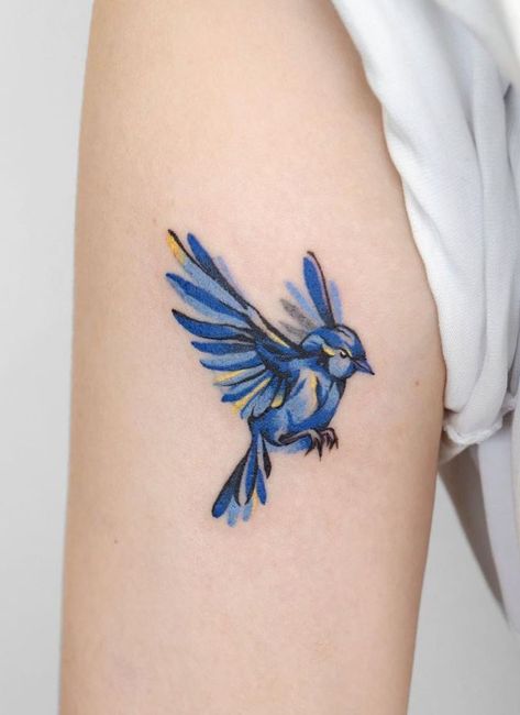 Bird Tattoos For Women Colorful, Blue Canary Tattoo, Rio Bird Tattoo, Beautiful Bird Tattoos For Women, Mountain Blue Bird Tattoo, Watercolor Bluebird Tattoo, Colored Bird Tattoos, Bluebird Of Happiness Tattoo, Small Blue Bird Tattoos For Women