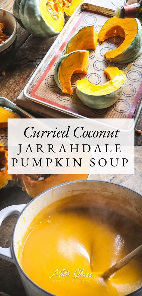 Roasted until tender, then steeped in coconut milk, yellow curry powder, and chicken broth, this jarrahdale pumpkin soup recipe has the creamiest, smoothest texture with layers of warm spices. It's the perfect warm, cozy soup for lunch and is heaven with a little crusty bread or grilled cheese. Great for warming up on a cool winter night! Jarrahdale Pumpkin Recipes, Yellow Curry Powder, Jarrahdale Pumpkin, Roasted Squash Soup, Soup For Lunch, Cozy Soup, Yellow Curry, Pumpkin Soup Recipe, Homemade Pumpkin Puree