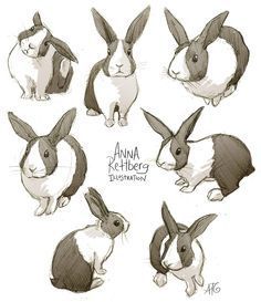 1000+ ideas about Rabbit Drawing on Pinterest | Jessica Rabbit ... Bunnies Reference, Bunny Drawings, Bunny Sketch, Bunny Sketches, Dutch Rabbit, Tier Tattoo, Rabbit Drawing, Bunny Tattoos, Rabbit Tattoos