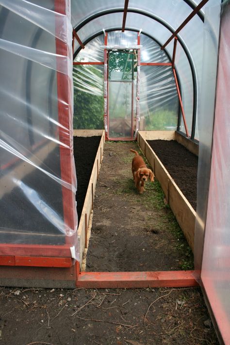 How to make your own polytunnel | Gardening & Permaculture Design Poly Tunnel, Diy Greenhouse Plans, Building Garden, Hydroponic Farming, Build A Greenhouse, Home Greenhouse, Hydroponic Growing, Backyard Greenhouse, Permaculture Gardening