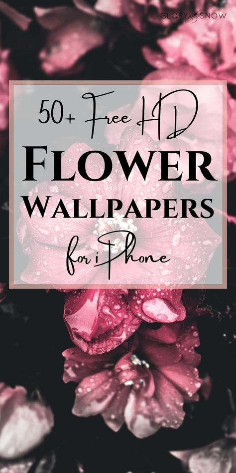 A collection of the most beautiful flower wallpaper backgrounds for iPhone: 50 cute floral iPhone wallpapers - free HD download! | flower wallpaper iPhone, flower wallpaper aesthetic, flower wallpaper iPhone backgrounds, flower wallpaper HD, flower phone wallpaper, flower phone backgrounds, floral wallpaper iPhone, vintage floral wallpaper for iPhone, HD wallpaper aesthetic, pretty iPhone wallpaper | #flowers #floral #wallpapers #hd #free Iphone Flower Wallpaper Aesthetic, Moody Screensavers, Vintage Flowers Wallpaper Iphone, Best Iphone Lock Screen Wallpaper, Fall Flowers Wallpaper Iphone Wallpapers, Wild Flower Wallpaper Iphone Wallpapers, Peony Wallpaper Iphone, Vintage Floral Wallpaper Iphone, Spring Iphone Theme