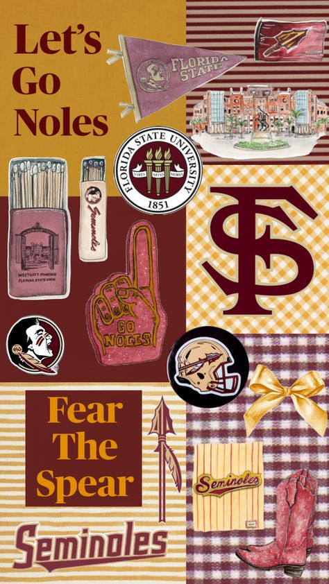 Collage, Florida State University, Florida, print Fsu Gameday, Fsu Shirts, Florida State Seminole, Florida Print, College Vision Board, Fsu Seminoles, Colleges In Florida, College Board, Dream College