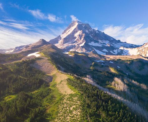 Mt Hood Oregon from the North. [2500 x 2064] [OC]  Click the link for this photo in Original Resolution.  If you have Twitter follow twitter.com/lifeporn5 for more cool photos.  Thank you author: https://bit.ly/2YDKPSa  Broadcasted to you on Pinterest by pinterest.com/sasha_limm  Have The Nice Life! Scenes To Paint, Moon Beauty, Life Is A Dream, Oregon Landscape, Mt Hood Oregon, Trail Cam, Landscape Reference, Dream Trips, Mount Hood