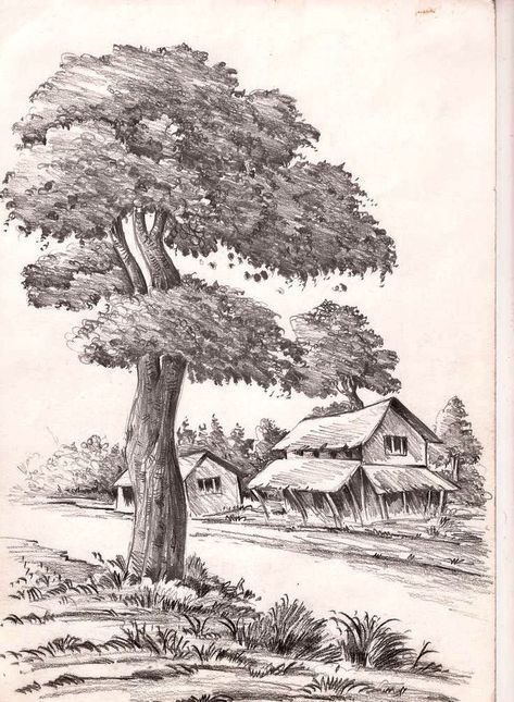 Pencil Sketches Landscape, Village Scene Drawing, Village Drawing, Butterfly Art Drawing, Landscape Pencil Drawings, Pencil Drawing Images, Drawing Scenery, Tree Drawings Pencil, Pencil Drawings For Beginners