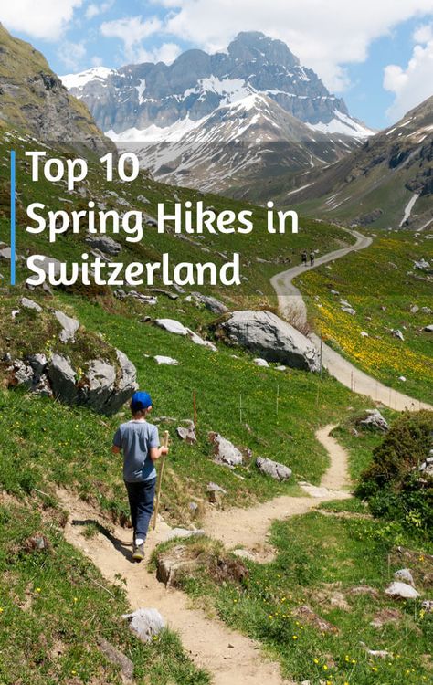 Top 10 Spring Hikes in Switzerland • Swiss Family Fun Switzerland Adventure, Switzerland Summer, Switzerland Trip, Switzerland Hiking, Zurich Airport, Switzerland Vacation, Europe 2023, Swiss Travel, Hiking Europe