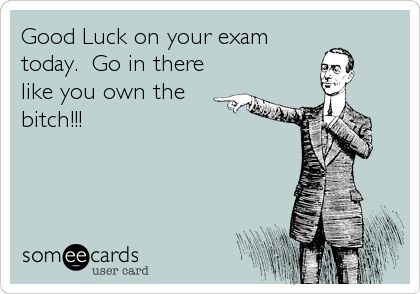 Good Luck on your exam today. Go in there like you own the bitch!!! | Encouragement Ecard | someecards.com Good Luck For Exams, Testing Quote, Funny Encouragement, Exams Funny, Exam Quotes, Funny Confessions, Exam Motivation, Luck Quotes, Work Motivation