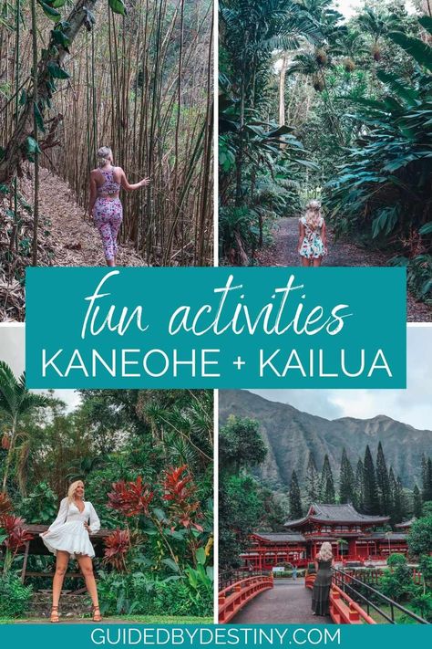 You’ll never run out of things to do in Hawaii with this list of the best things to do in Kailua and Kaneohe Oahu. Use this list Kailua Oahu activities and Kaneohe activities. If you’re looking for free things to do in Kailua and Kaneohe Oahu, Kaneohe restaurants with the best food on Oahu, or what to do in Kailua and Kaneohe, Oahu Hawaii has it all. Make sure to add these activities to your Kaneohe bucket list. Oahu Activities, Kailua Oahu, Things To Do In Hawaii, Kailua Beach, Hawaii Adventures, Us Travel Destinations, Island Getaway, Hawaii Island, Free Things To Do