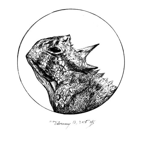 365 Project: Horned Lizard Horned Lizard Drawing, Horned Lizard Tattoo, Lizard Drawing, Horned Toad, Thorny Devil, Horned Frog, Lizard Tattoo, Horned Lizard, Woodburning Ideas