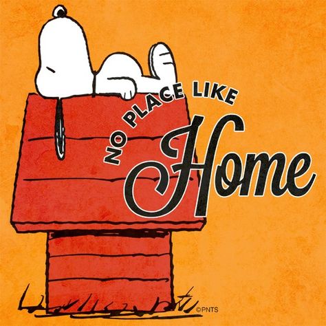 No place like home. Peanuts Cartoon, Peanuts Characters, Snoopy Quotes, Snoop Dog, Joe Cool, Snoopy Love, No Place Like Home, Charlie Brown Peanuts, Charlie Brown And Snoopy