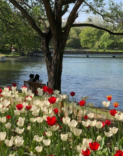 Pastel, Lake, Twitter, Flowers, Nature