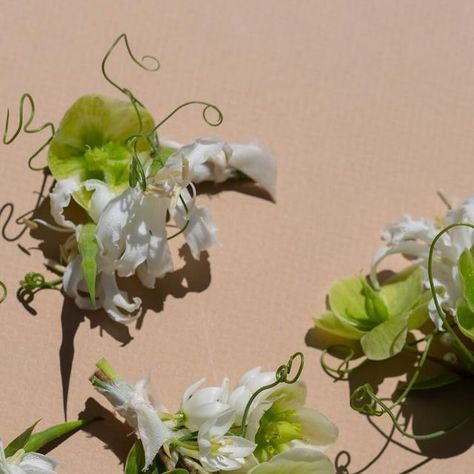 Mariko Ladrillono on Instagram: "Classic boutonnières and corsages with some 🍥✨" Floral Corsage, Katherine Pierce, Wrist Corsage, Boutonniere, Florist, Floral, Flowers, Hair, On Instagram