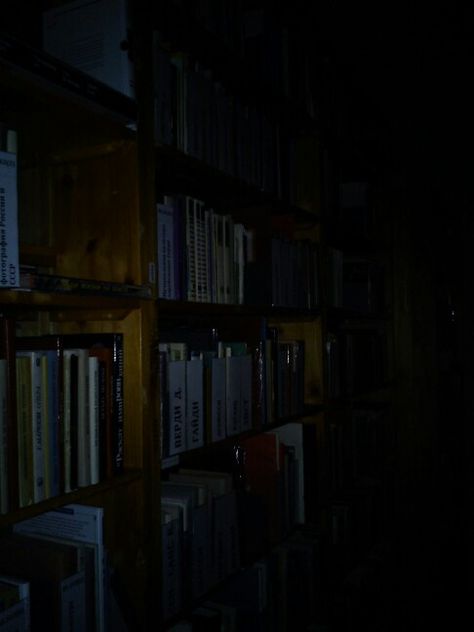 Scary Library Aesthetic, Library At Night Aesthetic, Library Night Aesthetic, Night Library Aesthetic, Creepy Library Aesthetic, Eerie Library, Library At Night, Haunted Library Aesthetic, School At Night Aesthetic