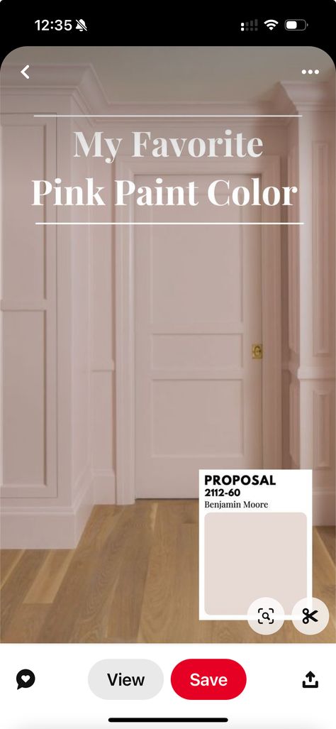 Pink Paint Colors Sherwin Williams, Light Pink Paint, Pink Painted Walls, Light Pink Walls, Pink Ceiling, Pink Closet, Pink Paint Colors, Pink Door, Neutral Paint Colors