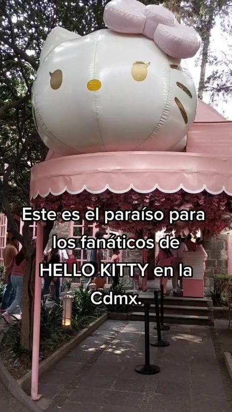 Ya conocías el Hello Kitty Cafe | Miguelfrancoc | Kitty Cafe, Hello Kitty, Kitty, Audio, Cafe