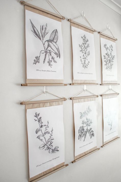 Wall Decor Inspiration, Botanical Gallery Wall, Framed Botanical Prints, Poster Frames, Diy Wand, Simple Poster, Vintage Flower Prints, Diy Upcycling, Vintage Botanical Prints