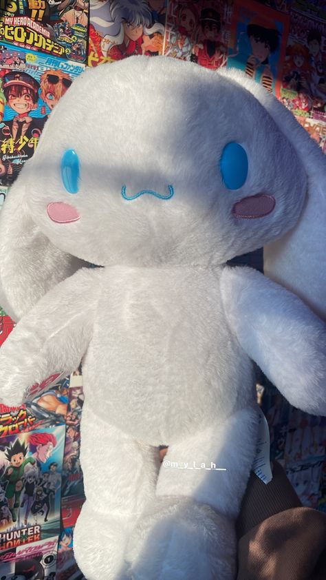 #sanrio #anime #cute #aesthetic #plush Big Plushies Aesthetic, Plushies Big, Big Plushies, Aesthetic Plush, Big Teddy Bear, Hello Kitty Toys, Mystery Bag, Cute Aesthetic, Build A Bear