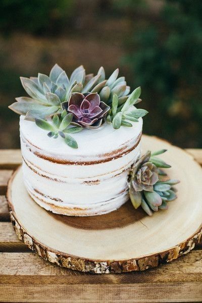 Boho Chic Wedding Cake, Succulent Wedding Cakes, Succulent Cake, Small Wedding Cakes, Fall Wedding Cakes, Cake Trends, Wedding Cakes Vintage, Succulent Wedding