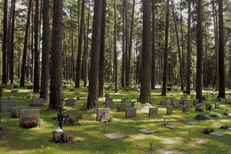 Cemetery Landscape, Woodland Cemetery, Athens Acropolis, Nordic Vikings, Cemetery Art, Memorial Park, Parking Design, Western Europe, Countries Around The World