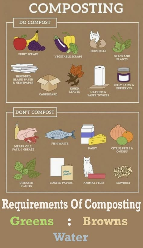 Compost Poster, Composting 101, How To Compost, Diy Compost, Vegetable Scraps, Composting At Home, Worm Composting, Garden Compost, Veg Garden