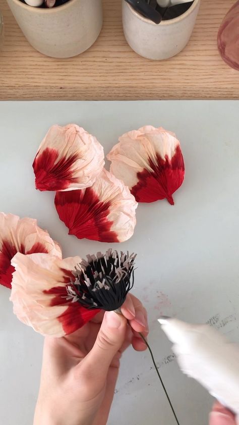 Crepe Paper Poppies Diy, Paper Poppy Flower, Poppy Paper Flowers, Paper Poppies Diy, Paper Poppy Flowers Diy, Make Giant Paper Flowers, Crepe Paper Poppy, White Poppy Flower, Paper Poppies