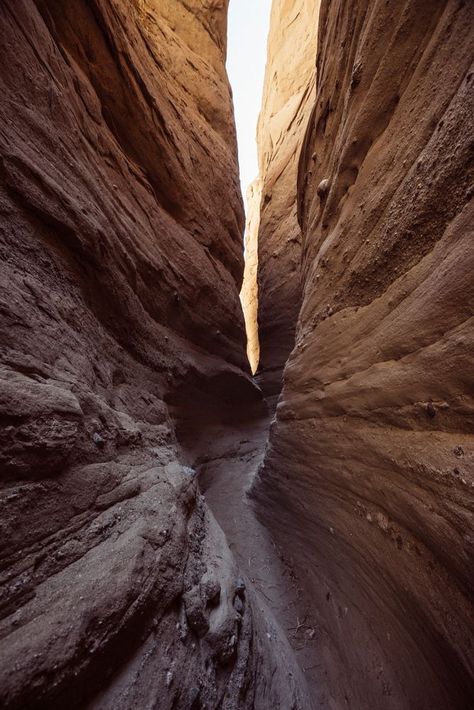 Borrego Springs Ca, Ocotillo Plant, Anza Borrego State Park, Barren Land, Borrego Springs, Anza Borrego, Desert Life, California Desert, Slot Canyon