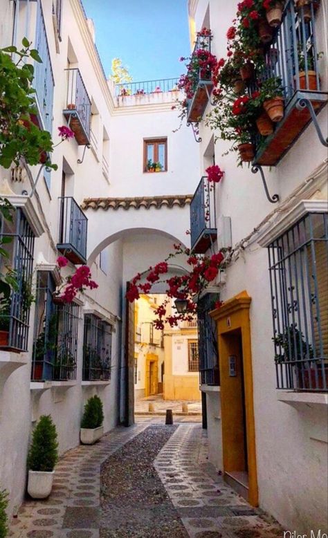 City Gardens, Spain Aesthetic, Amalfi Coast Italy, The Aesthetics, Europe Summer, Dream Travel Destinations, Andalusia, City Aesthetic, Beautiful Places To Travel