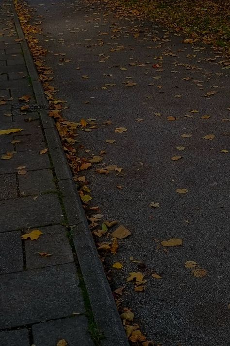 Dried Orange Aesthetic, Dry Leaves Aesthetic, Sidewalk Aesthetic, Intermediate Painting, Academic Rivals, Dry Leaves, Orange Leaves, Orange Leaf, Dry Leaf