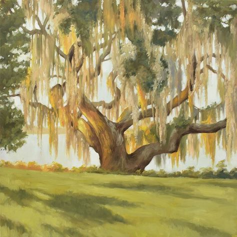 Oak Tree Painting, Spanish Moss Drawing, Live Oak Tree Painting, Spanish Moss Painting, Abstract Oak Tree Painting, Spanish Moss Tree Painting, Oak Tree Oil Painting, Moss Paint, Old Florida Paintings