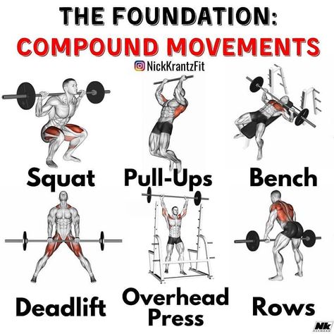 Compound Workout, Workout Splits, Compound Exercises, Cardio Routine, Weight Training Workouts, Workout Chart, Trening Abs, Gym Workout Tips, Workout Guide