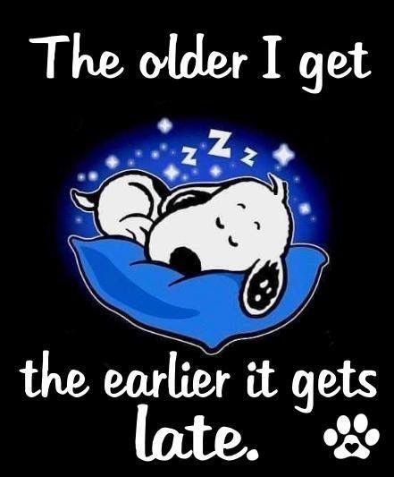 Peanuts Quotes, Charlie Brown Quotes, Snoopy Funny, Snoopy Images, Snoopy Wallpaper, Snoopy Quotes, Snoopy Pictures, The Older I Get, Snoopy Love