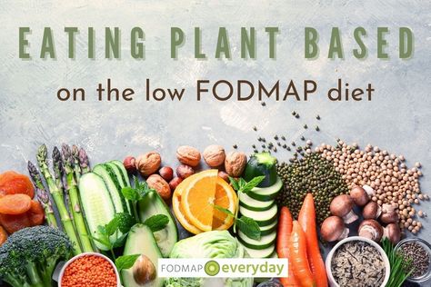 Low Fodmap Recipes Vegetarian, Fodmap Diet Plan, Fodmap Lunch, Fodmap Meal Plan, Low Fodmap Diet Recipes, Fodmap Diet Recipes, Ibs Recipes, Low Fodmap Diet, Meal Replacement Shakes