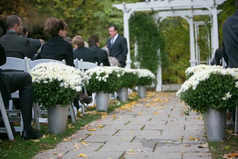 White mums or chrysanths along the aisle - Ontario Wedding at The Ancaster Mill from Nataschia Wielink Photo + Cinema Mums For Wedding Decor, White Pumpkins Wedding, Mums Wedding, White Mums, Pumpkin Wedding, Backyard Reception, Beautiful Beach Wedding, Bride Photography, Wedding Aisle