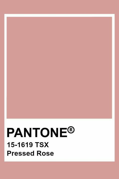 Interior Design Bedroom Master, Pantone Color Chart, Pantone Swatches, Pantone Palette, Pantone Colour Palettes, Color Inspo, Colour Board, Colour Schemes, Pantone Color