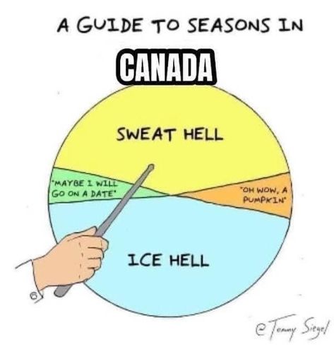 Canada Jokes, Canadian Stereotypes, Being Too Nice, Canadian Memes, Canada Memes, Canadian Humor, Meanwhile In Canada, Canadian Things, Country Jokes