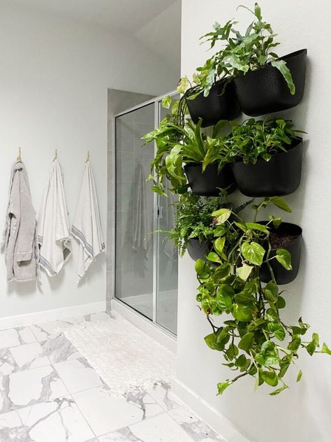 A review of WallyGro planters and how to create a DIY living wall in your home using Eco Planters. Snake Plant Wall Planter, Pothos Wall Planter, Large Wall Planter, Wall Planters Indoor Diy, Wall Planters Diy, Plant Wall Bathroom, Indoor Wall Planter Ideas, Wallscape Planters, Wall Mounted Planters Indoor