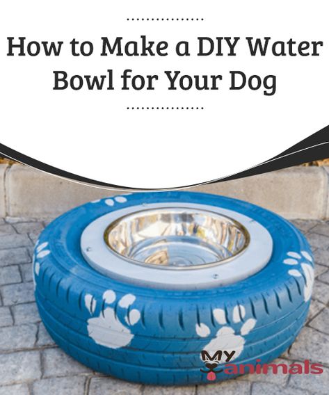 Diy Dog Water Bowl, Diy Water Bowl For Dogs, Diy Outdoor Dog Water Bowl, Dogs Water Bowl Ideas, Outside Water Bowls For Dogs, Frozen Water Bowl For Dogs, Dog Water Bowl Ideas For Sloppy Drinkers, No Mess Dog Water Bowl, Dog Water Bowl