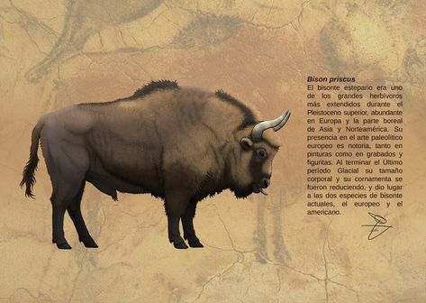 Pleistocene Megafauna, Pleistocene Animals, Stone Age Animals, Prehistoric Fauna, Stone Age Art, Realistic Animal Drawings, Monster Hunter Art, Paleo Art, Extinct Animals