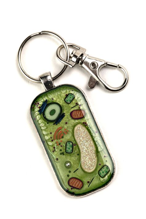 Plant cell, science jewellery, science necklace, Plant Cell Key Chain - Silver - Cell Biology, Biology Gift, Keychain, Science Gift, Handmade, Gift for Teacher, Gift for Scientist, Science Jewellery	Gift for teacher	Gift for scientist science teacher gift	biology teacher gift	biology jewelry	Microbiology	Science gift	science art	cellular biology	botanist	Botanical	Plant science Plant Cells, Cambridge Uk, Science Lover, Cell Biology, Plant Cell, Science Gifts, Funky Jewelry, Gift For Teacher, Gift Handmade