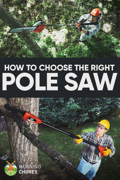 7 Best Pole Saw for Pruning Reviews Hand Chain Saw, Mini Chainsaw, Agricultural Tools, Pole Saw, Landscaping Tools, Recycling Machines, Garden Equipment, Lawn And Landscape, Small Garden Design