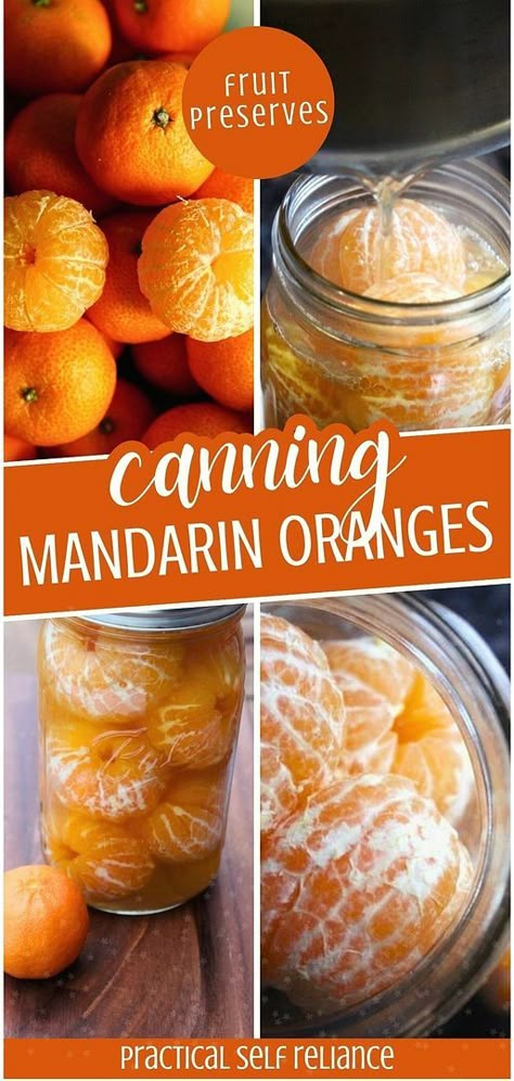 Master the technique of canning mandarin oranges, perfect for maintaining their delightful taste. This easy process is a wonderful way to extend the life of mandarins, a highlight in your Fruit Preserves. Find more Canning for Beginners, Preserving Food Recipes, and Homesteading Skills at practicalselfreliance.com. Canning Oranges, Water Bath Canning Recipes, Canning 101, Canning Fruit, Canning Vegetables, Home Canning Recipes, Canned Food Storage, Canning Tips, Canning Food Preservation