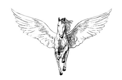 Mike Kevan from Art Dump.  Pegasus front view.  Isn't this the logo from a movie company? Pegasus Drawing, Pegasus Tattoo, Tattoo Fe, Horse Tattoo Design, Unicorn Tattoos, Fantasy Horses, Horse Tattoo, Sternum Tattoo, White Tattoo