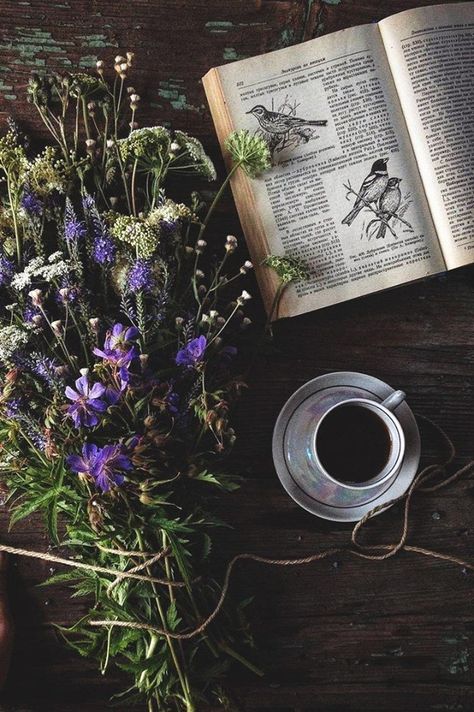 Green Witch Aesthetic, Witch Cottage, Cottage Aesthetic, Lavender Aesthetic, Flower Business, Color Vibe, Slytherin Aesthetic, Still Life Photos, Book Of Hours