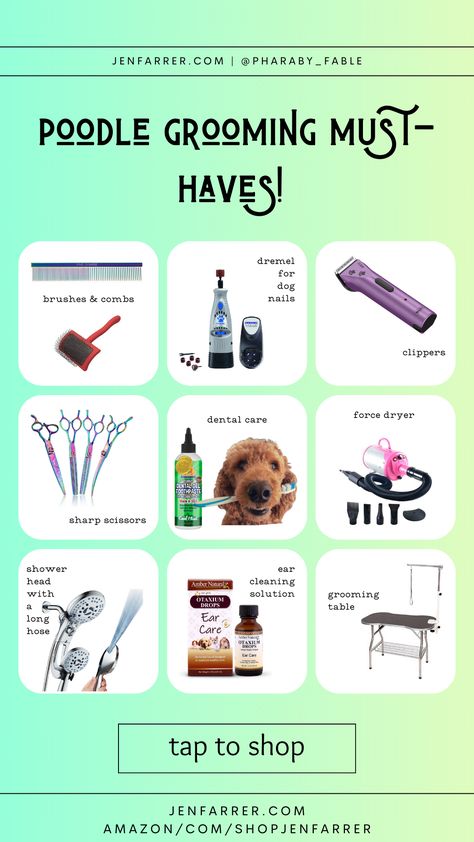 Dog Nail Care Kit, Professional Dog Grooming Supplies, Poodle Mom, Poodle Grooming, Dog Brushing, Summer School, Dental Care, Dog Grooming, Dog Mom