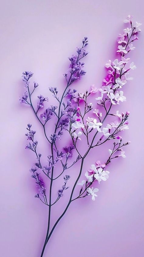 Music Wallpaper Backgrounds Vintage, Music Wallpaper Backgrounds, Wallpaper Backgrounds Vintage, Landscape Aesthetic, Backgrounds Vintage, Purple Flowers Wallpaper, Android Wallpaper Flowers, Flower Iphone Wallpaper, Cute Flower Wallpapers