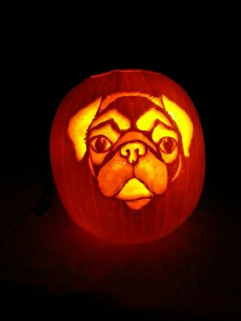 Pug pumpkin Pug Pumpkin Carving, Pug Pumpkin, Pumpkin Carving Knife, Halloween Pumpkin Stencils, Pumpkin Carving Stencils, Pumpkin Stencils, Carving Stencils, Scary Pumpkin Carving, Pumpkin Carving Ideas