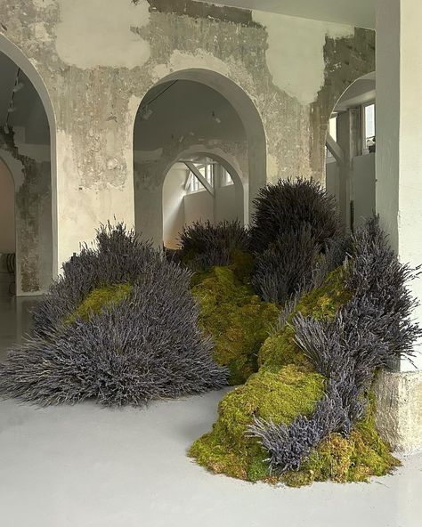 Lavender in Paris with @caronparfums | Instagram Foliage Installation, Flower Recipes, Flower Installation, Flower Food, Cloud Shapes, Floral Theme, Special Thanks, Unique Photo, Dream Come True