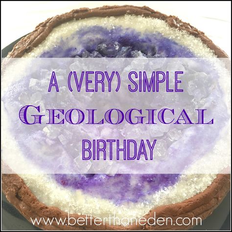 A simple geology themed birthday party for our newest eight year old! Geology Cake, Mining Birthday Party, Rock Birthday, Mary Birthday, Girly Party Ideas, Scientist Party, Birthday Gemstones, Rock Cake, Geode Cake